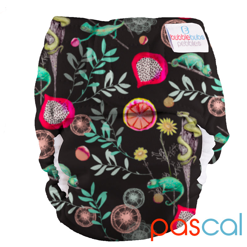 Pebbles Newborn All-in-One Nappy (2kg-5.5kg) "Pascal" PUL