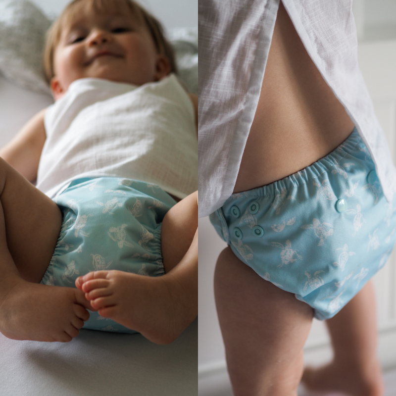 Teddy Bare, All in Two Nappies (5kg-18kg)